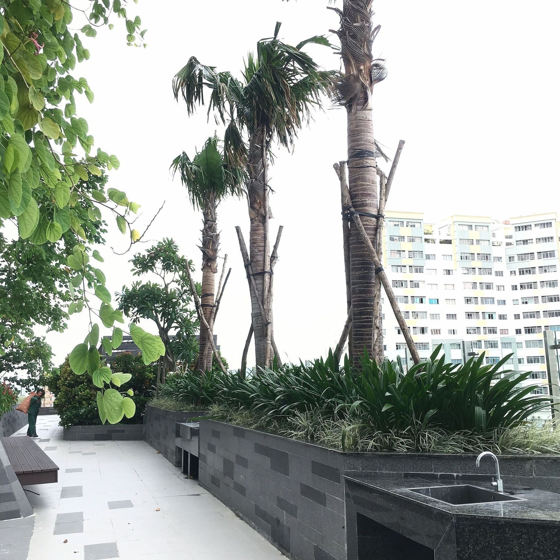 Skydragon Place Căn hộ